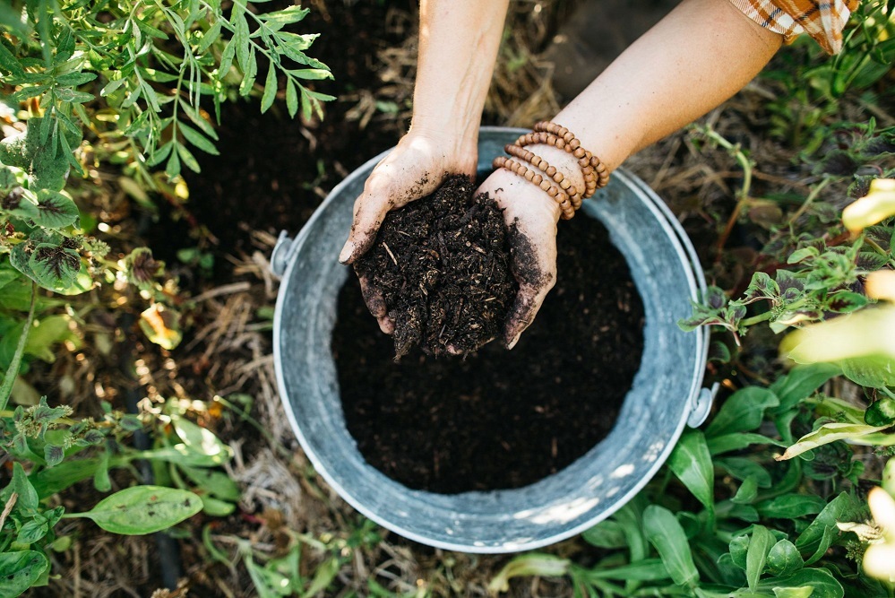 Dig Into Composting Class Saturday, June 4