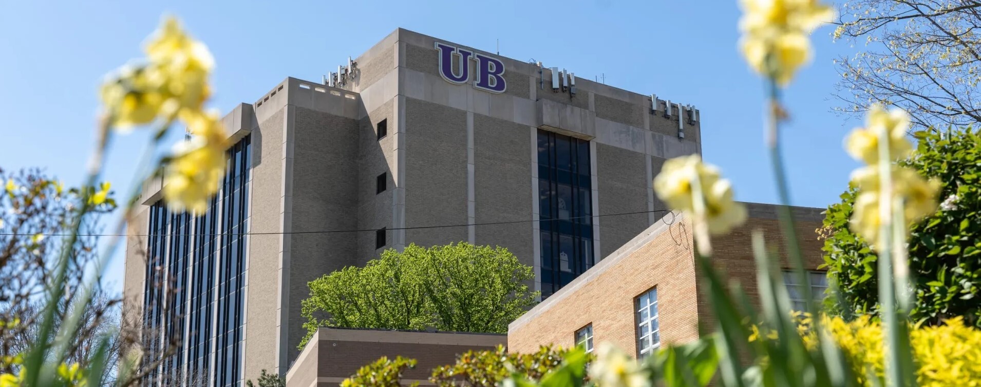 UB School