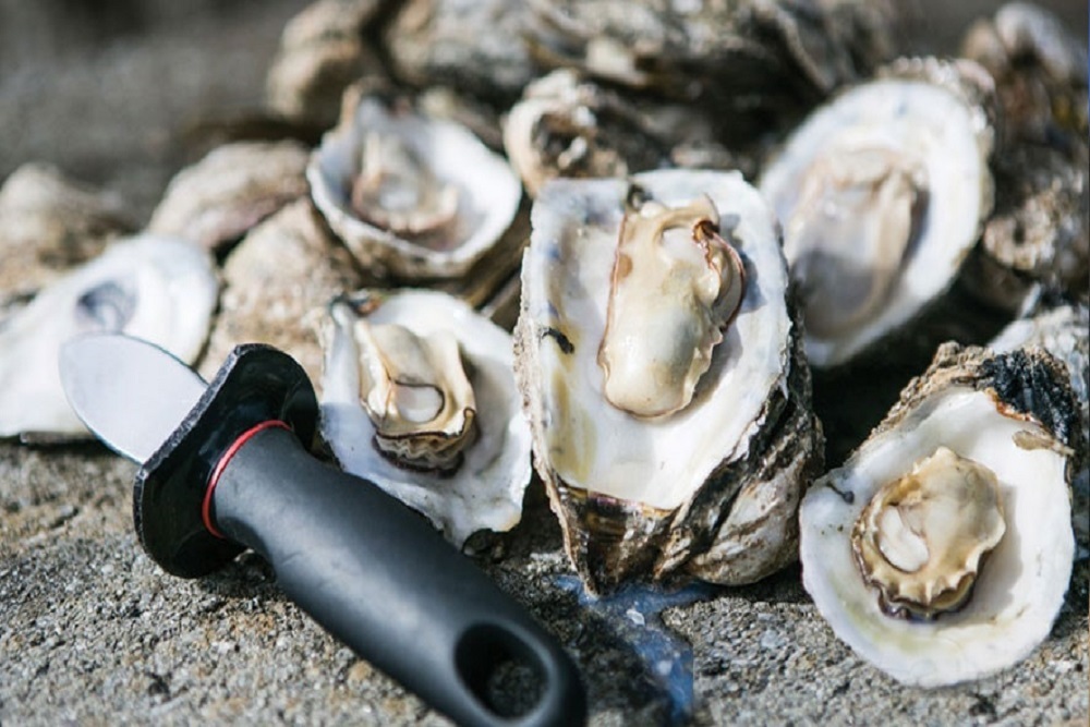 Beach Bash & Oyster Roast on October 23