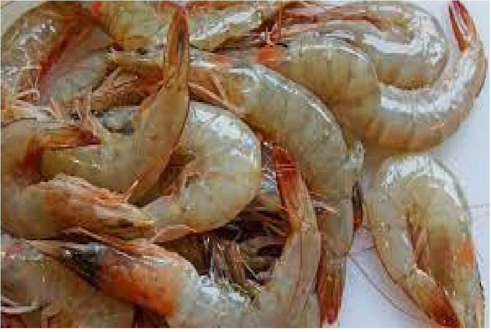 UNIVERSITY OF ARKANSAS – FORT SMITH: Low Country Shrimp Boil to be held June 26