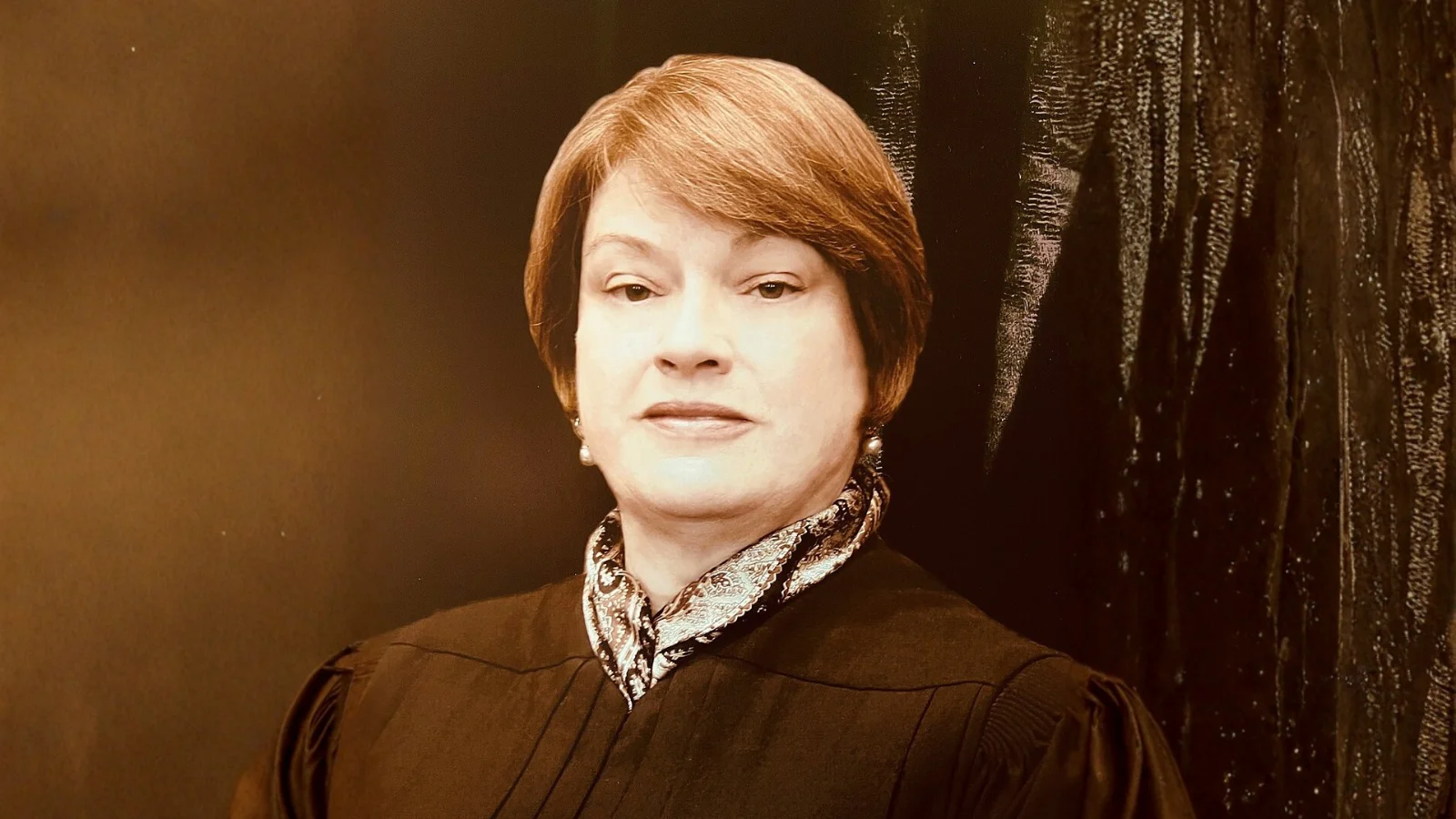 Theresa Lazar Springmann U.S. District Judge at United States District Court Northern District of Indiana Theresa Lazar Springmann U.S. District Judge at United States District Court Northern District of Indiana