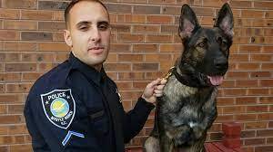 Myrtle Beach’s chief judge certifies police K-9s