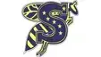 Stephenville Yellow Jackets shut out 3-0 by Springtown Porcupines in varsity baseball