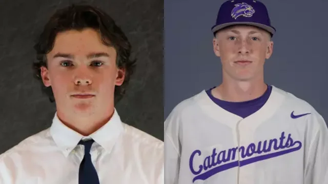 Which former South Asheville News area high school standouts will be in action in the week starting Monday, March 31?