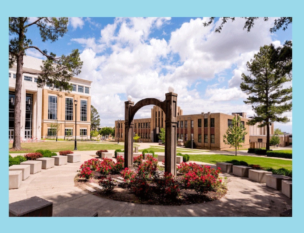 ARKANSAS STATE UNIVERSITY-BEEBE: Chancellor Names Members to Provost and Vice Chancellor Search Committee