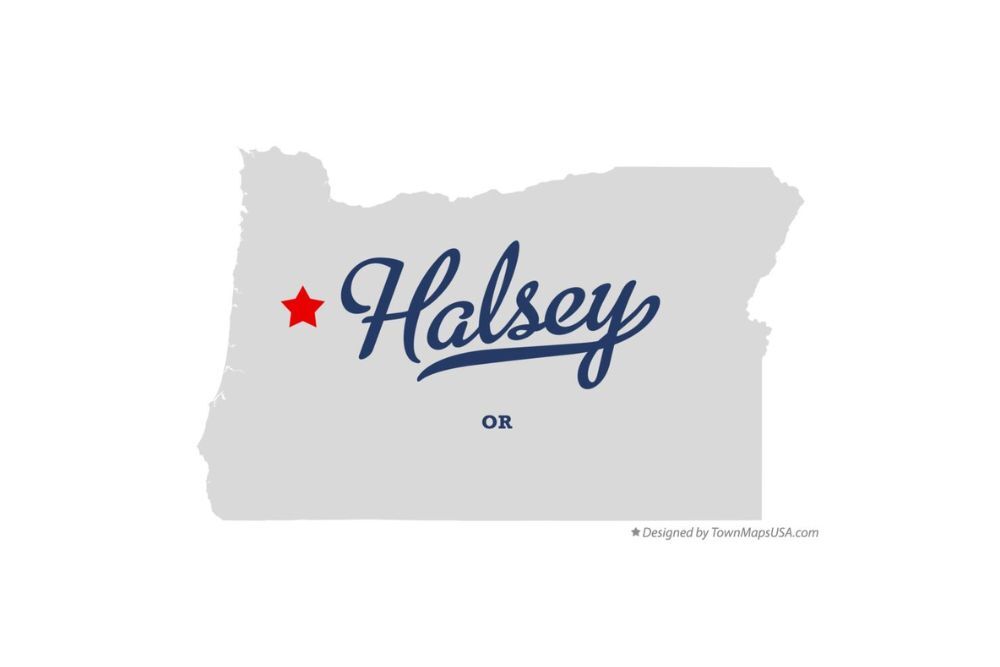 Save the date for the Halsey City Library “Book-It” 5k! Save the date for the Halsey City Library “Book-It” 5k!