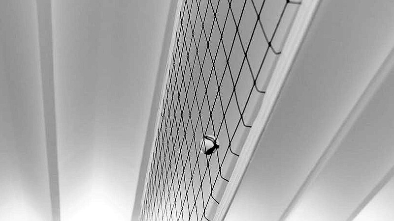 Elliott on tourney top seed for UT: ‘We put a lot of hard work to get to this point’