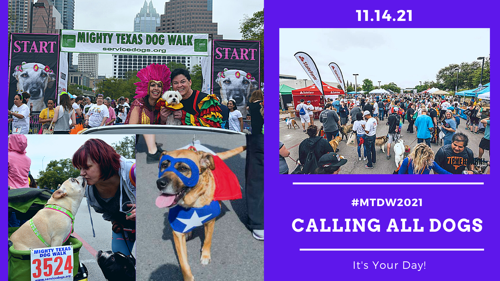 ‘Disneyland for dogs’: Annual walk will feature thousands of canines in fundraiser ‘Disneyland for dogs’: Annual walk will feature thousands of canines in fundraiser