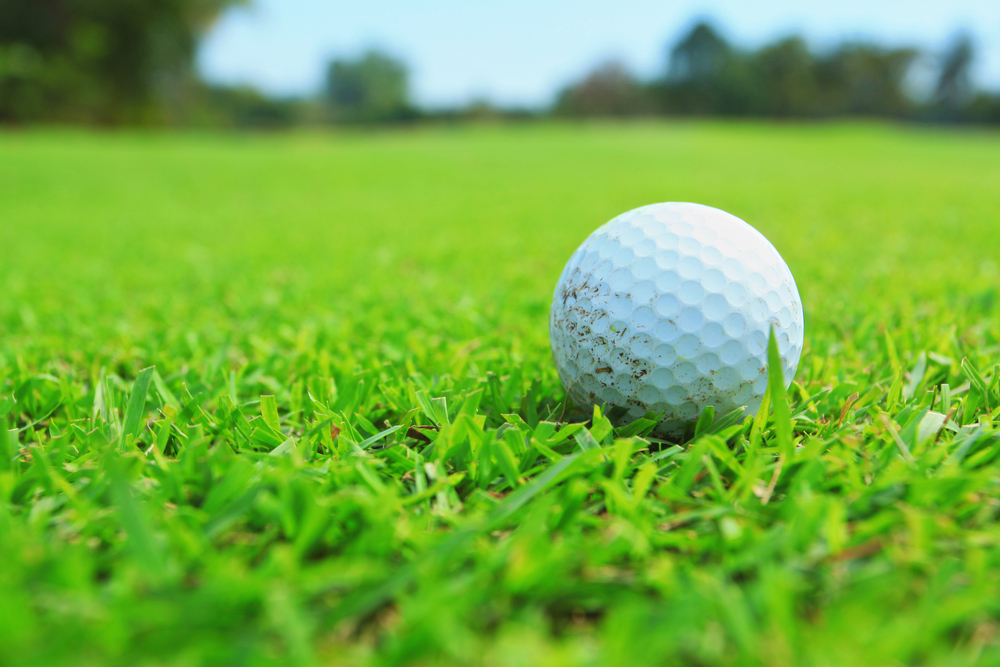 ALBANY AREA HIGH SCHOOL: Spring is right around the corner!