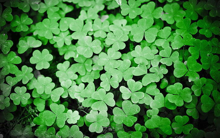 Watercolor Shamrocks