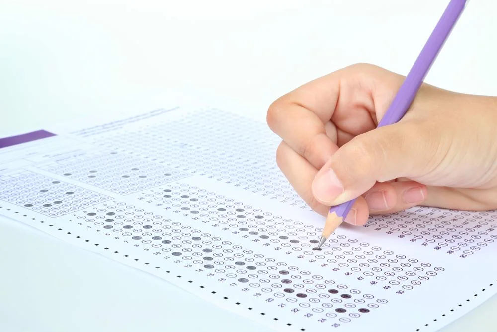 Out of 492 students in Scandia Elementary School, 16.7 percent were in second-grade during 2018-2019 school year Out of 492 students in Scandia Elementary School, 16.7 percent were in second-grade during 2018-2019 school year