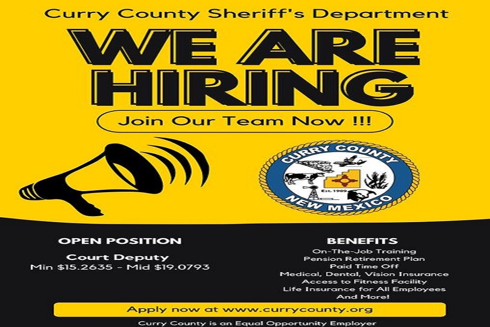 Hiring for Court Deputies
