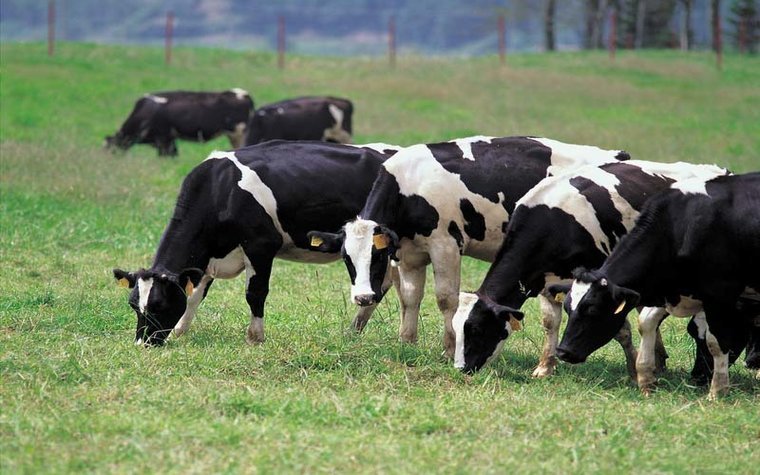 Latin American start-up creates web platform to help worldwide farmers
