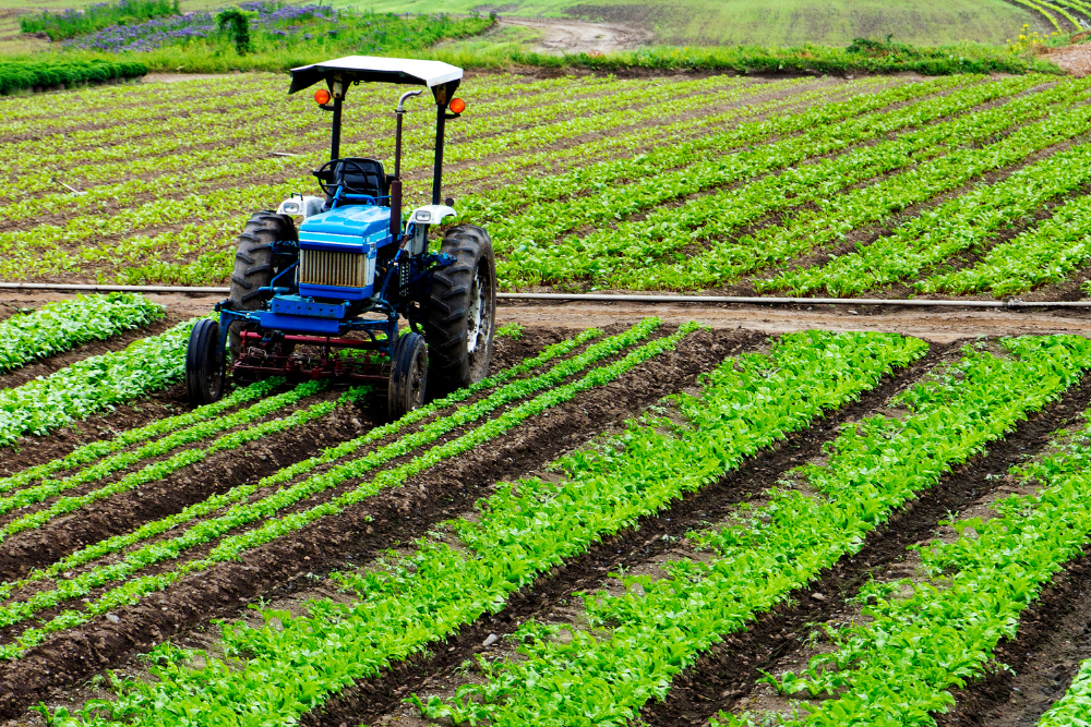 DANR Encourages Farmers and Ranchers to Sign Up for the 2022 Census of Agriculture