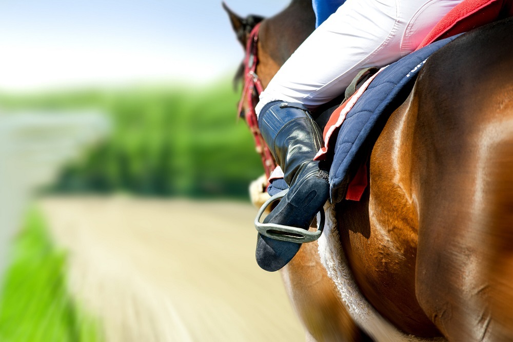 Equestrian Park Committee Member Needed