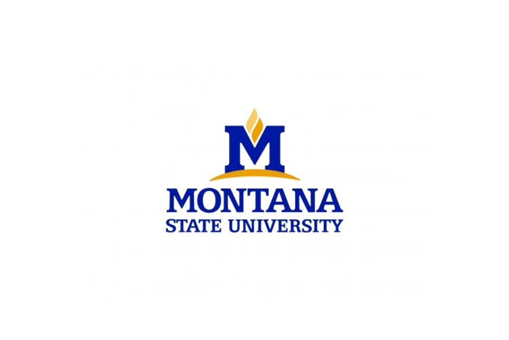 Montana State ranked fourth by Online Master’s Degrees for top American campuses