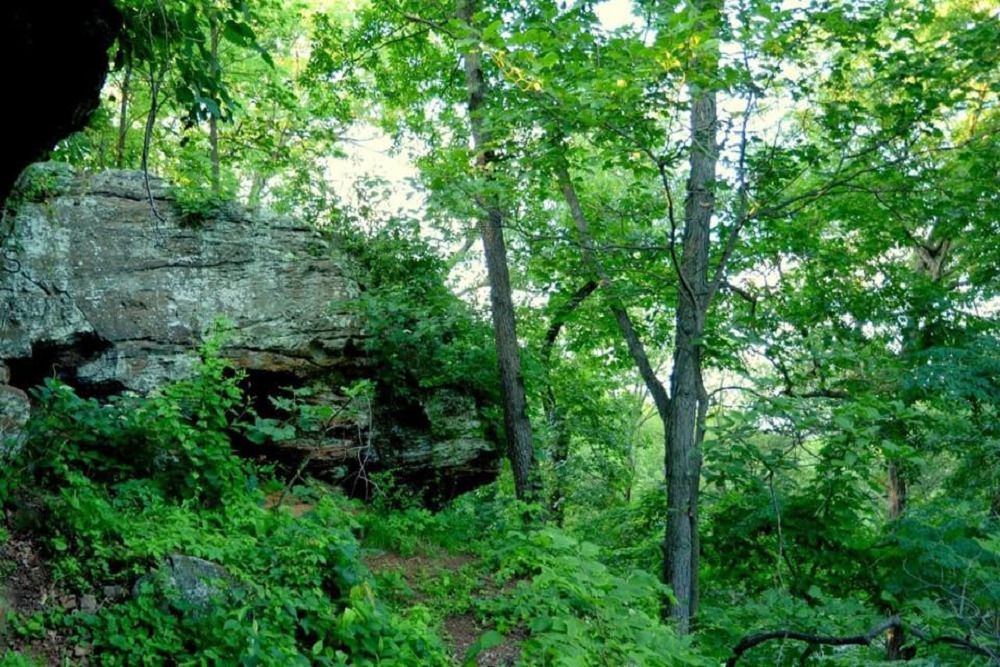“WEDNESDAYS in the WILD” – Black Rock Barrens & Black Rock Walk (Outdoor Program)