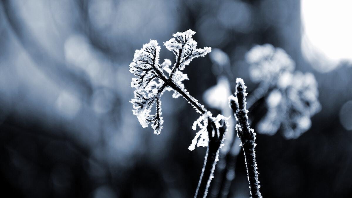 Samuels: Cold weather ‘can take people by surprise this time of year’ Samuels: Cold weather ‘can take people by surprise this time of year’