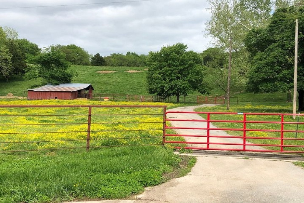 McDonald County Chamber of Commerce – Calling All Photographers – Do You Have Great Photos of McDonald County? McDonald County Chamber of Commerce – Calling All Photographers – Do You Have Great Photos of McDonald County?