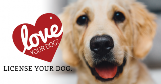 2023 Pet License Renewal