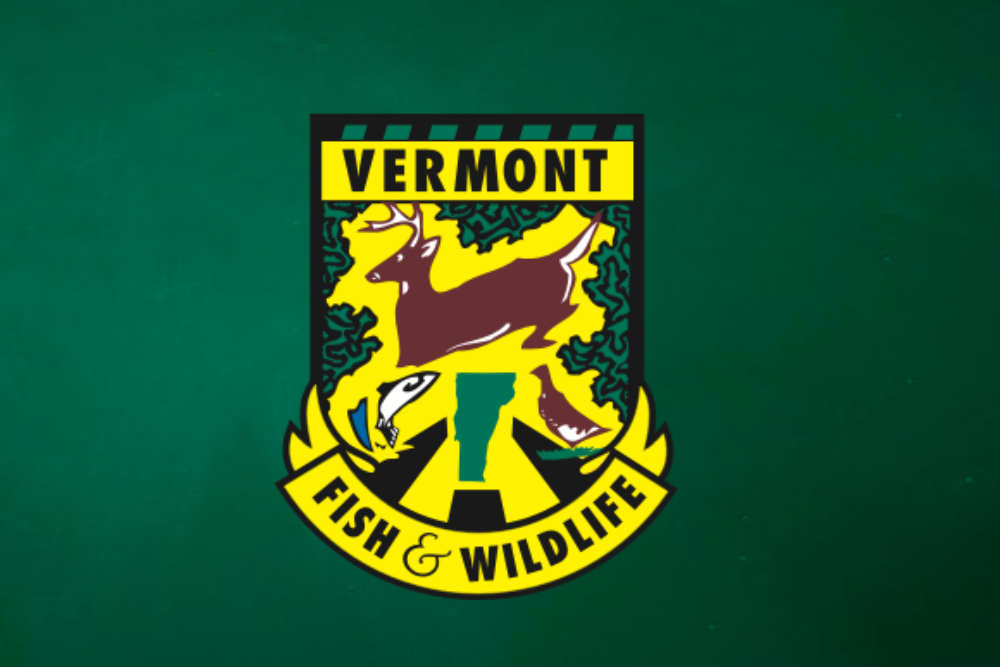 Vermont Turkey Brood Survey Starts July 1 Vermont Turkey Brood Survey Starts July 1
