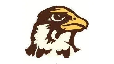Quincy Hawks fall 9-0 to Indianapolis Greyhounds in NCAA Division II softball matchup