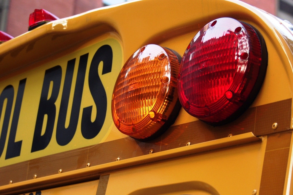 ALBANY AREA HIGH SCHOOL: A special end of year Purple Pride Send-Off for ALL of our students at Albany & Avon Elementary Schools!
