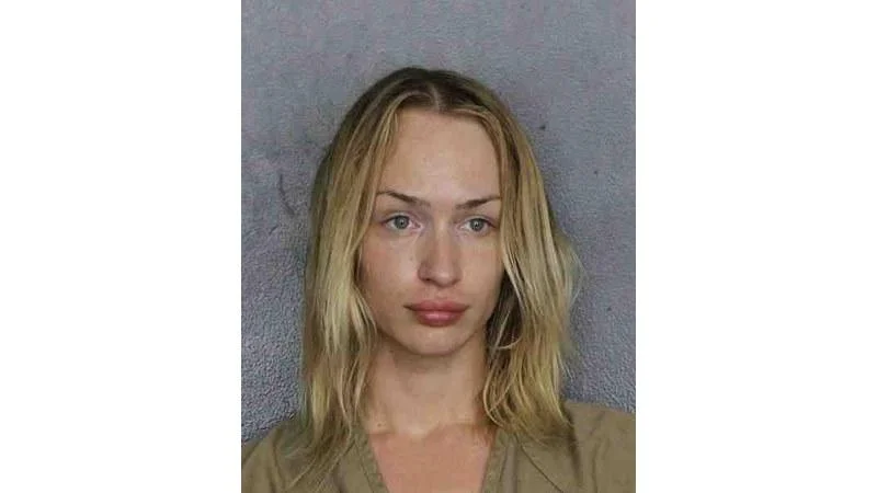 Authorities report 15 property offense bookings in Broward County on June 19