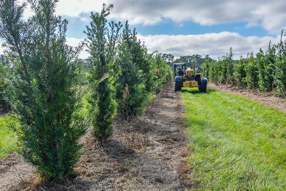 Agritourism Community Input Sought