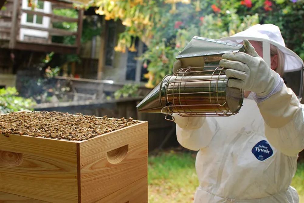 Let It Bee Beginner Beekeeping On December 17