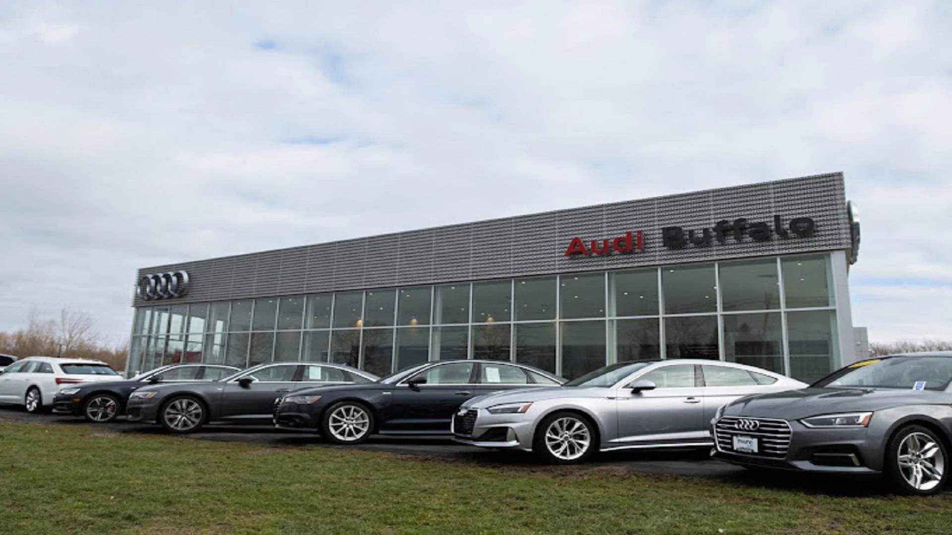 Audi Buffalo to President Trump: ‘Customers were not willing to buy electric vehicles’