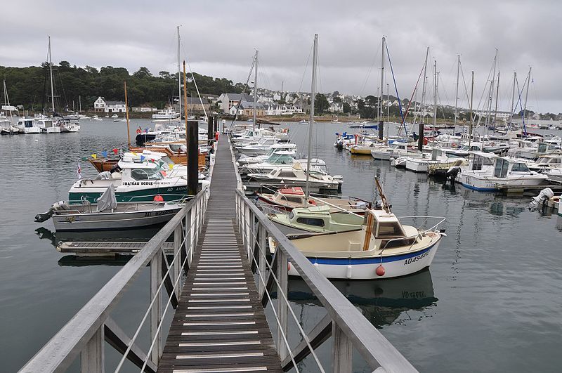 Marina Ad-Hoc on January 16