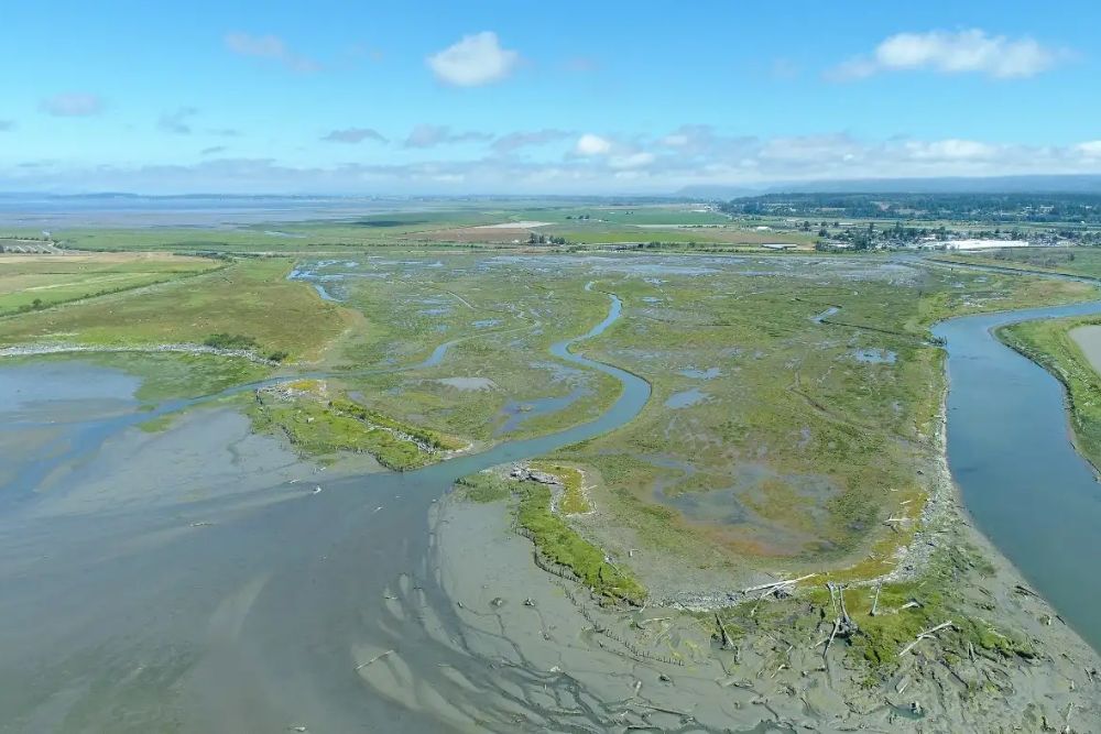 Net Ecological Gain report highlights need for bold conservation policy to restore habitat and recover species