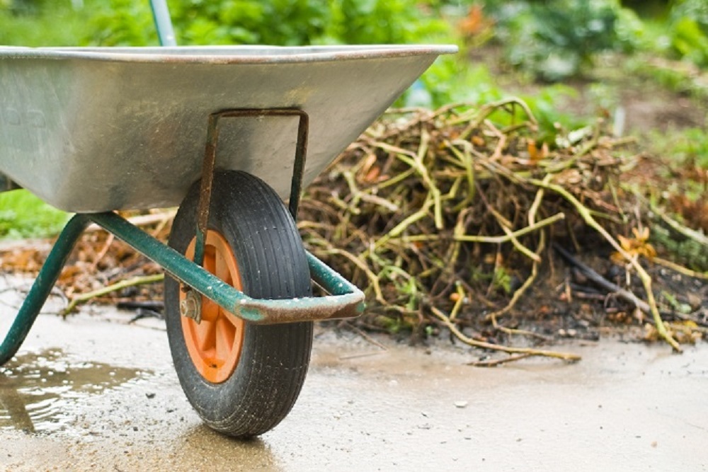 Yard Waste Collection on January 18