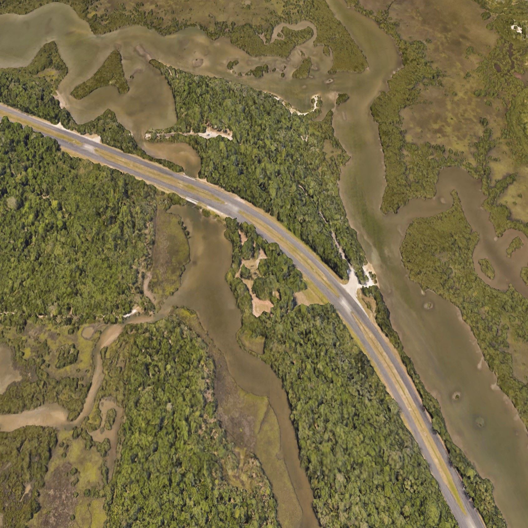 Volusia Forever to purchase four acres of environmentally sensitive land in New Smyrna Beach