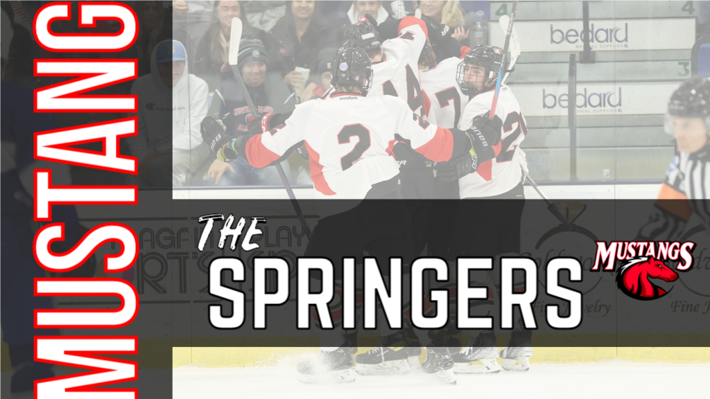 Central Maine Community College Springer Connection