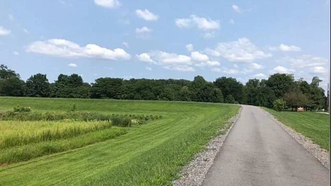 Susquehanna River Walk and Timber Trail - Penn College Wildcats Women%27s Cross Country