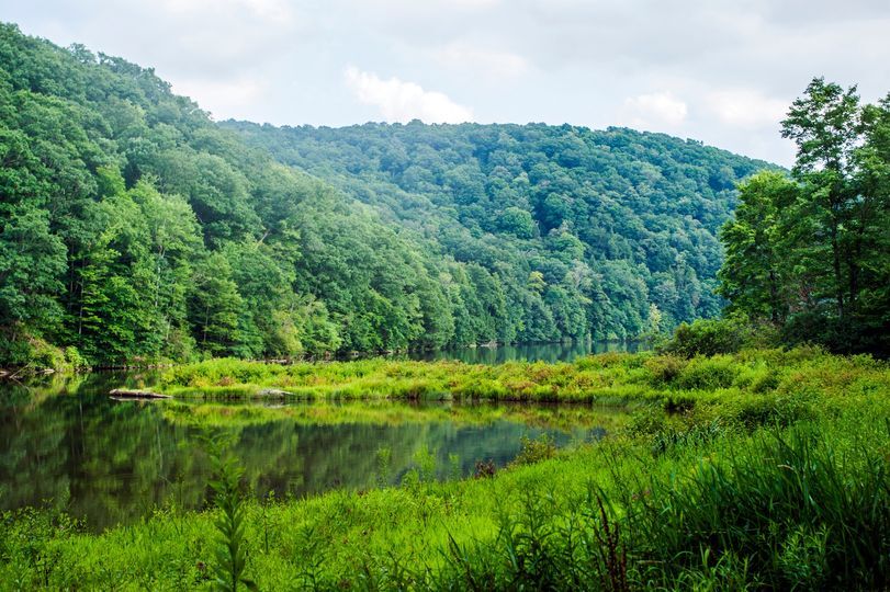 We are currently accepting applications for two PAID summer intern positions at the Laurel Hill State Park Complex