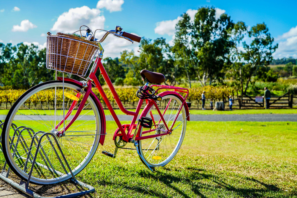 Lions Club Picnic-Heights Park to be held June 24
