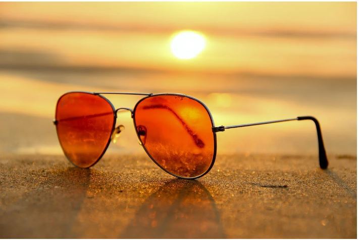 The perfect summer camp for someone 10-14 years old who loves being outside and exploring nature: Watershed Ecology Camp!