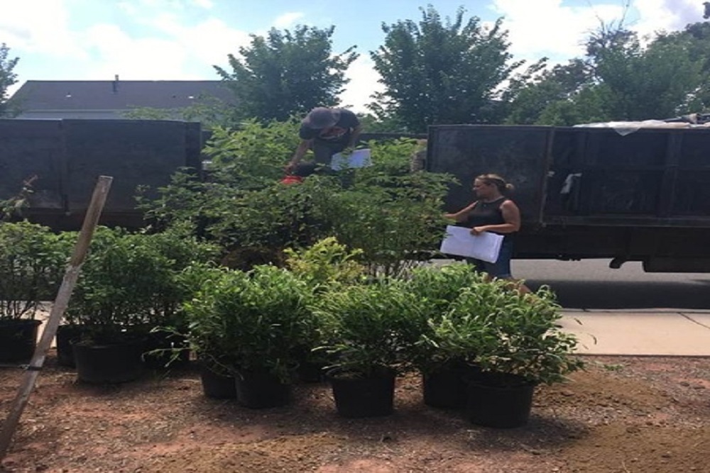 Garden Talk–Native Plants at Haymarket Gainesville Library on April 9 Garden Talk–Native Plants at Haymarket Gainesville Library on April 9