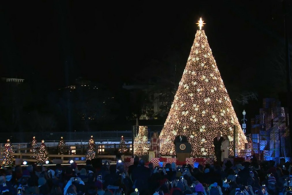 Christmas Tree Lighting on December 1