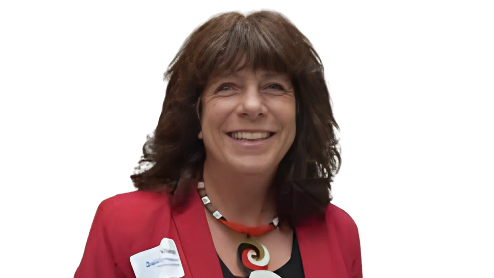Denise Vidal, Executive Vice President and Chief Executive Officer  of Lee County Electric Cooperative