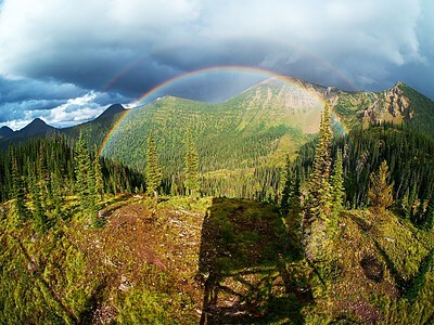 Happy St. Paddy’s Day from the Custer Gallatin National Forest