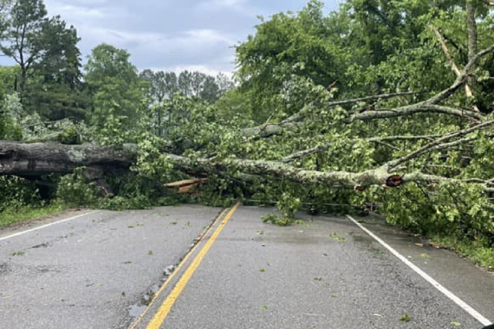 Williamson County Emergency Management Agency Crews report trees down entangled with power lines at Peytonsville-Trinity and Peytonsville-Arno roads
