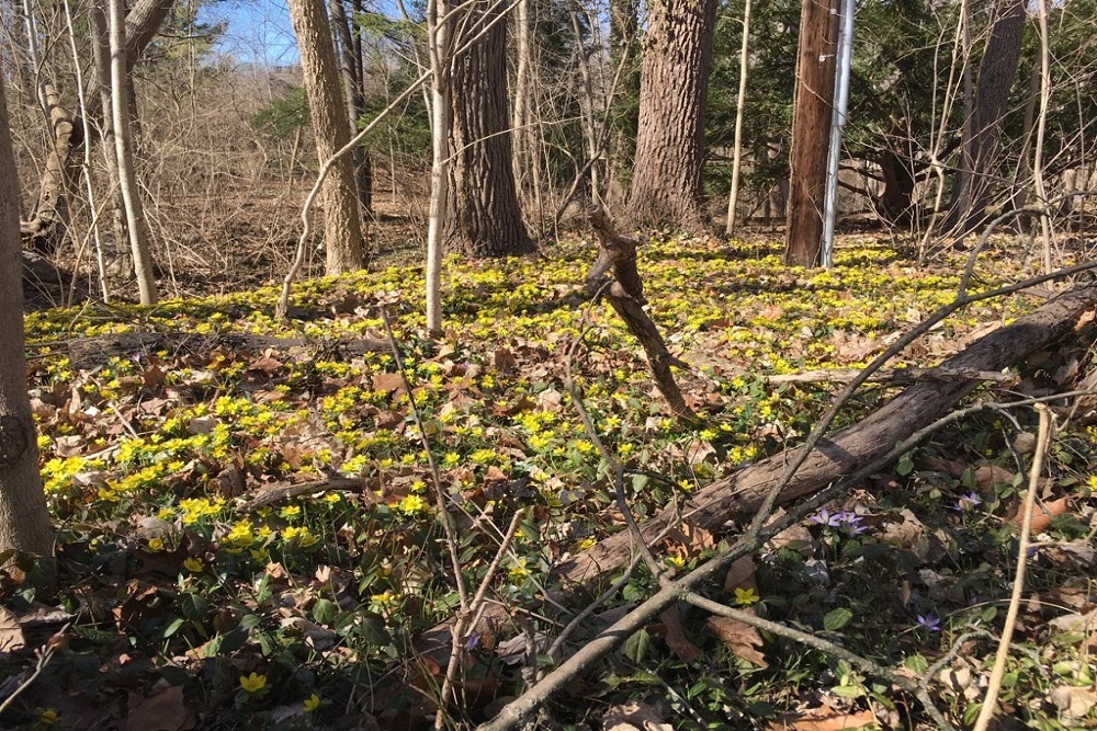 Spring is in the Air