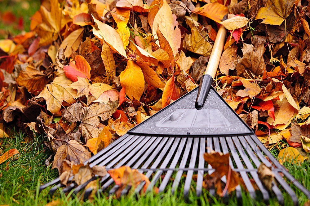 Spring Cleanup Coming April 18 or 19 in Johnston
