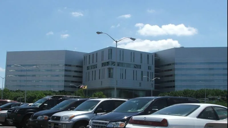New Jersey Division of Gaming Enforcement announces April 2026 total gaming revenue results