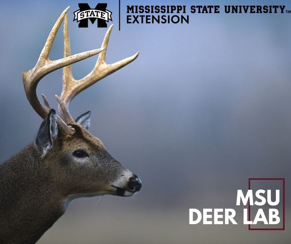 Marshall County Extension Office – The Deer Lab