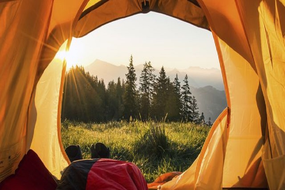 Trees For Tomorrow: Kinder Wild Camp to be held April 8